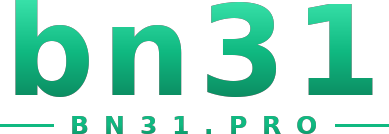 bn31 logo
